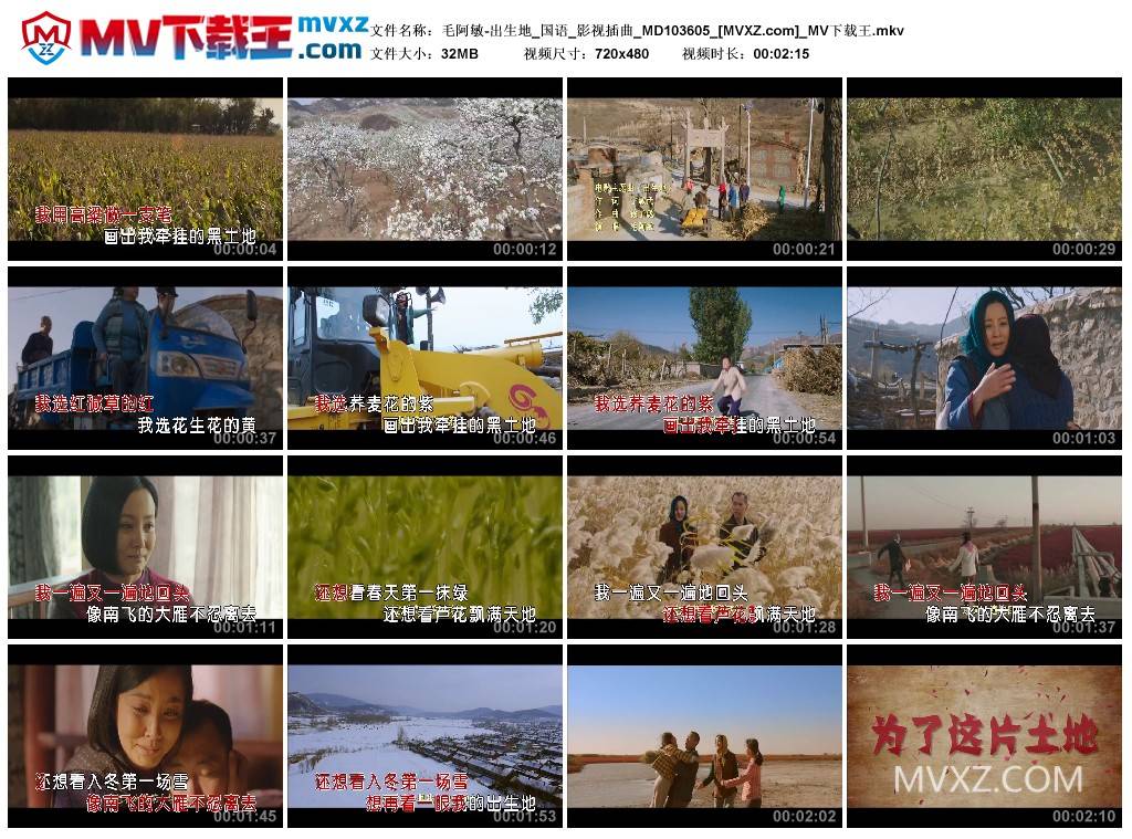 毛阿敏-出生地_国语_影视插曲_MD103605